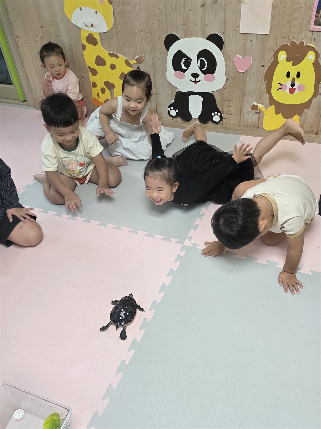 꼬꼬마어린이집 아이들이 거북이를 따라 기어가며 노는 모습
